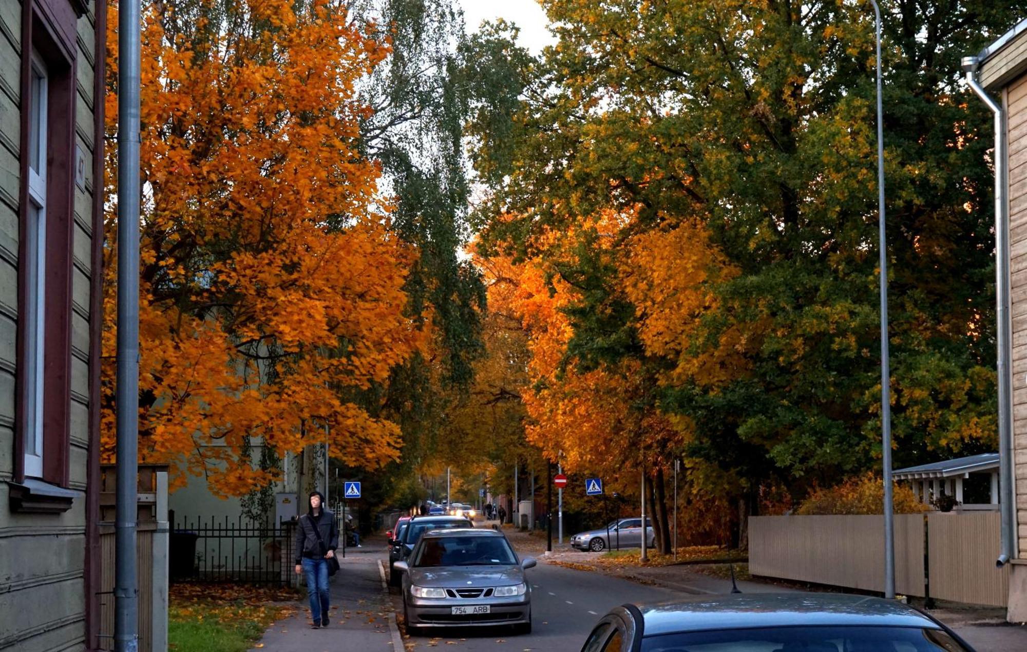 Quiet Romantic Studio Plus Parking, Tartu Home Dış mekan fotoğraf
